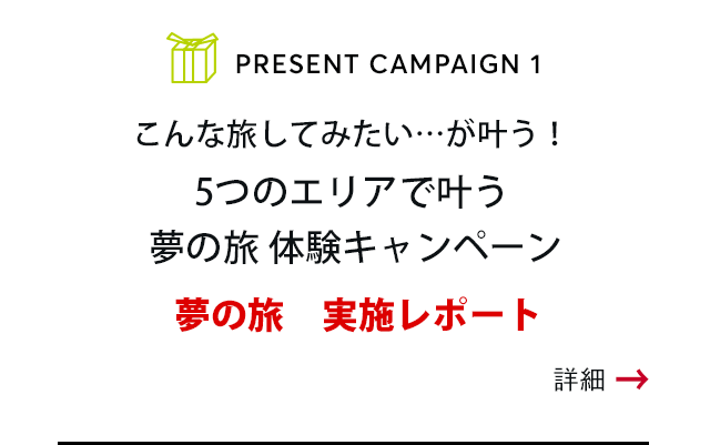 PRESENT CAMPAIGN vol.1 こんな旅してみたい…が叶う！Make your dream Campaign 5つのエリアで叶う 夢の旅 体験キャンペーン