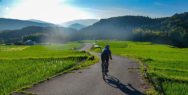 MARRIOTT RIDE ― See Japan on a Scenic Cycling Tour ― Izu / Shuzenji