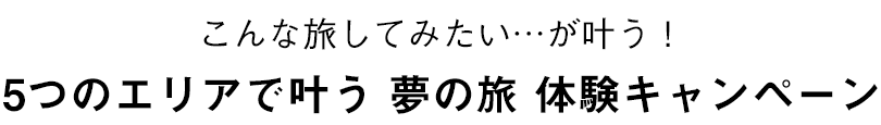 PRESENT CAMPAIGN vol.1 こんな旅してみたい…が叶う！Make your dream Campaign 5つのエリアで叶う 夢の旅 体験キャンペーン