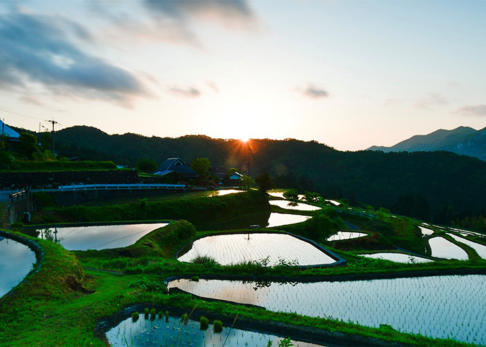 想留存給後代的風景