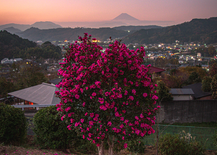 日常にある絶景