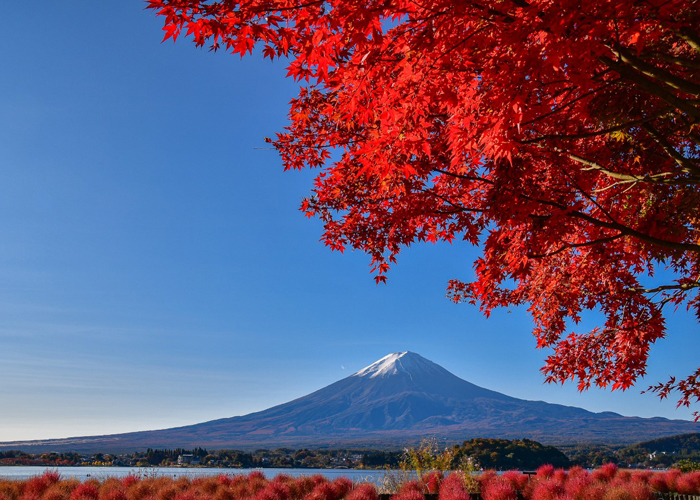 富士山と紅葉