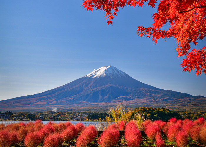 Mount Fuji / Lake Yamanaka News | JapaTabi