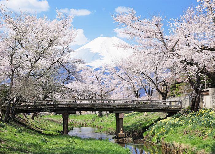 洋溢日本風情的風景