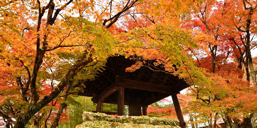 Shuzenji Temple