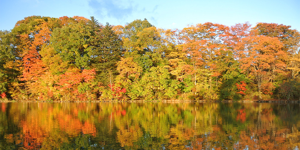 Karuizawa Taliesin