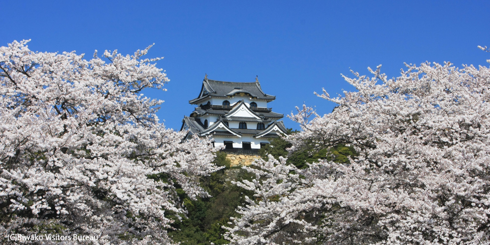 Hikone Castle