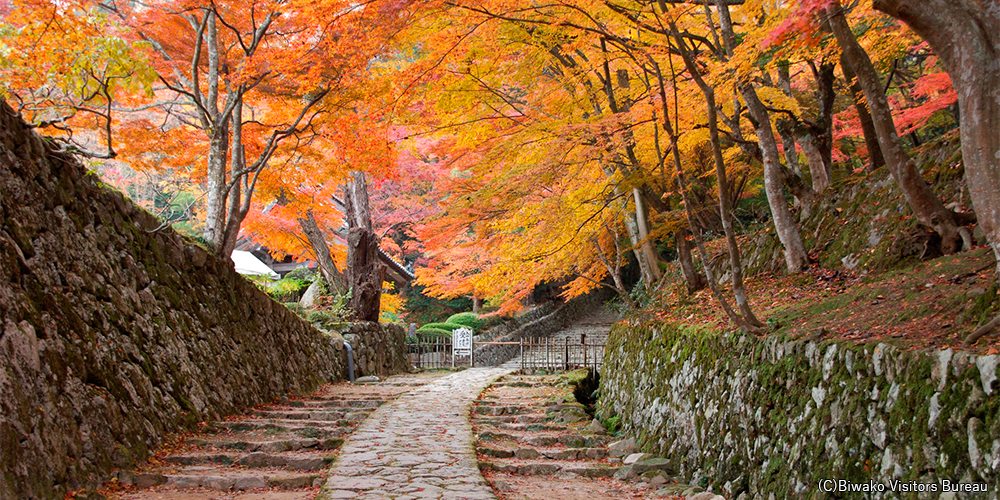 百济寺