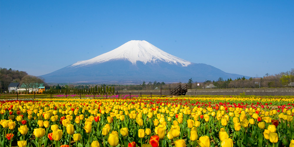 花之都公园