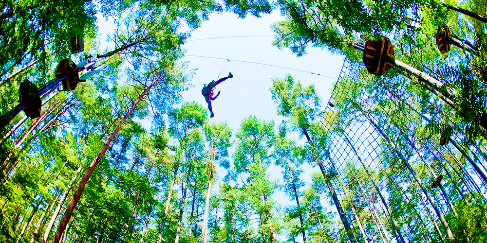 Forest Adventure Fuji