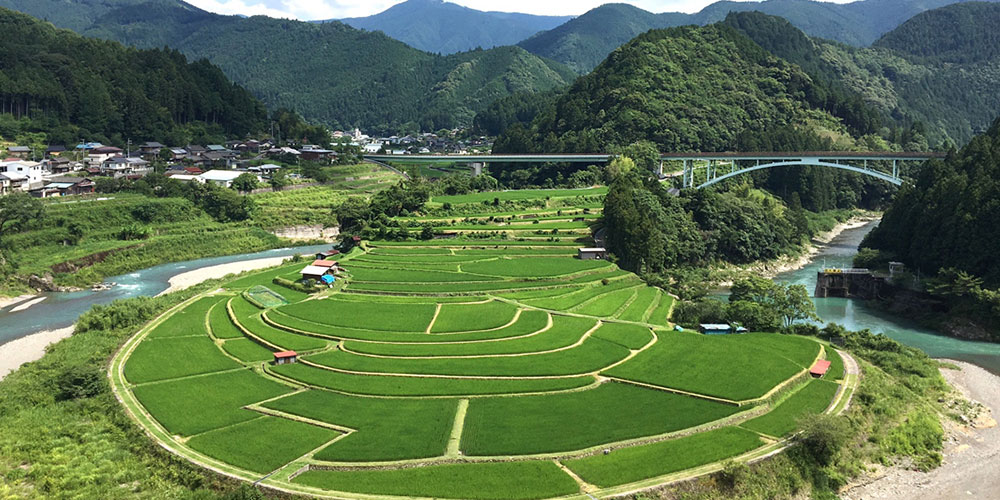 蘭（あらぎ）島