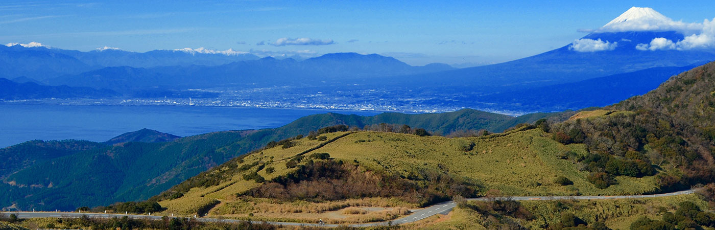 MARRIOTT RIDE ― See Japan on a Scenic Cycling Tour ― Izu / Shuzenji