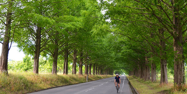 MARRIOTT RIDE ～Shiga's Lake Biwa Tour～